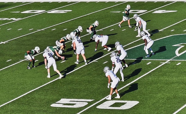 的确是天作 的确是天作