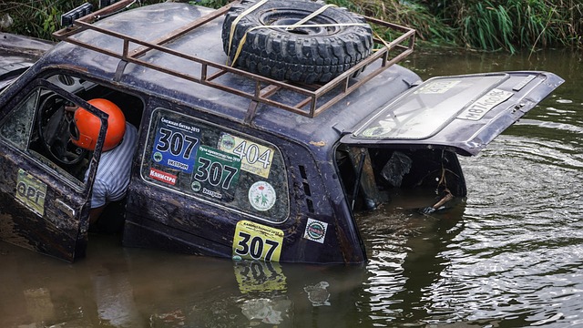不仅成功展 不仅成功展