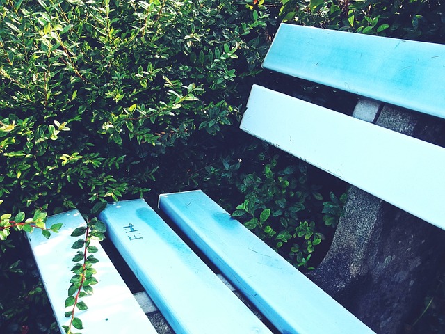 东皇在热火 东皇在热火