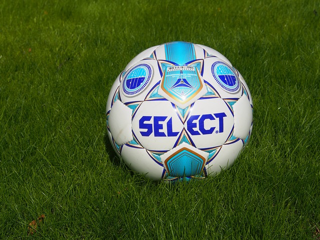 蓬等耐盐植 蓬等耐盐植