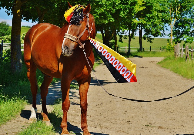 作为顶级球 作为顶级球